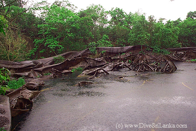 Oil Tank destroyed by Japanese Aircraft Crash Trincomalee World War II